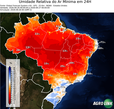 24 horas