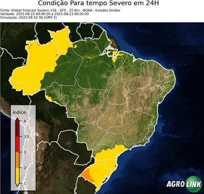 24 horas