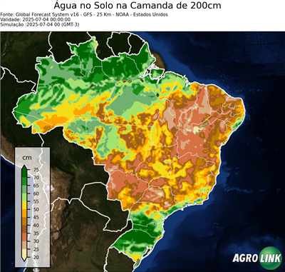 24 horas