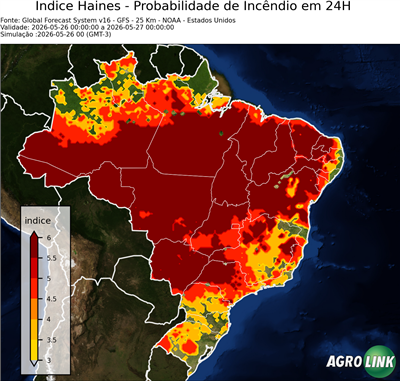 24 horas