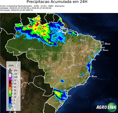 24 horas