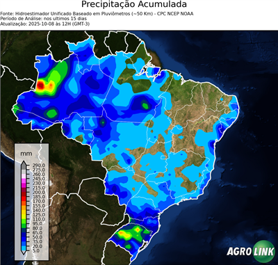 15 dias