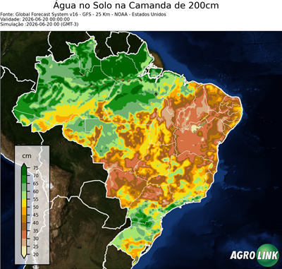 24 horas