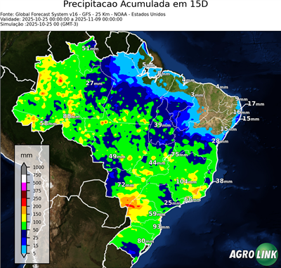 15 dias