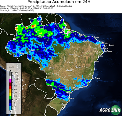 24 horas