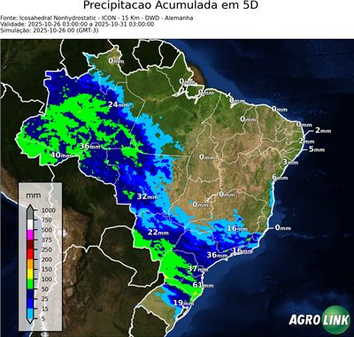 5 dias