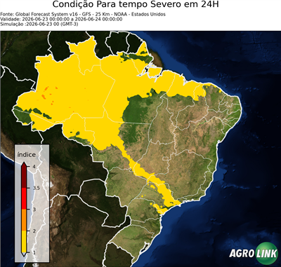 24 horas