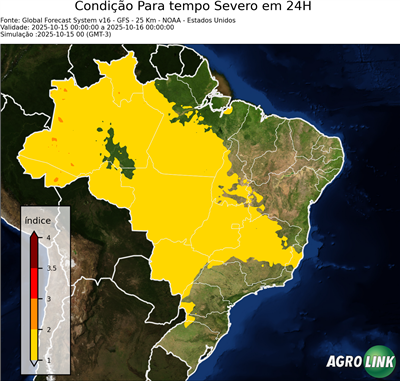 24 horas