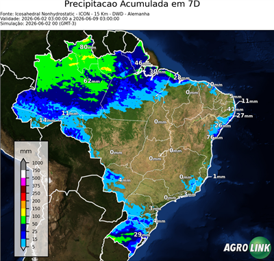 7 dias