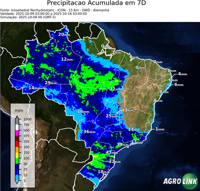 7 dias