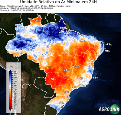 24 horas
