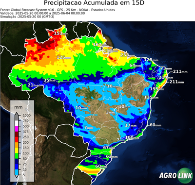 15 dias