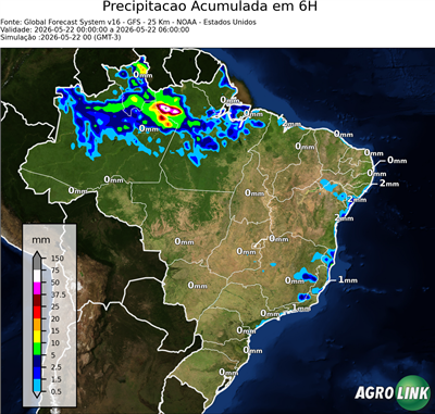 6 horas