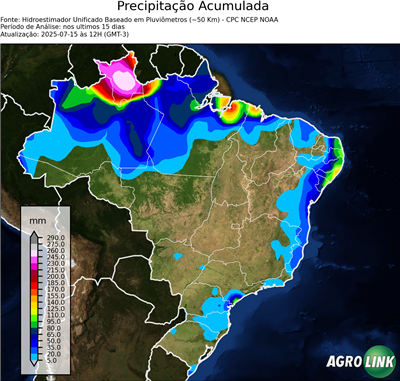 15 dias