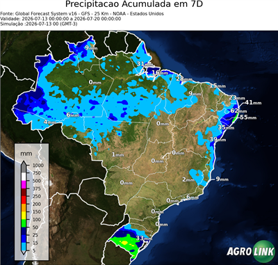 7 dias