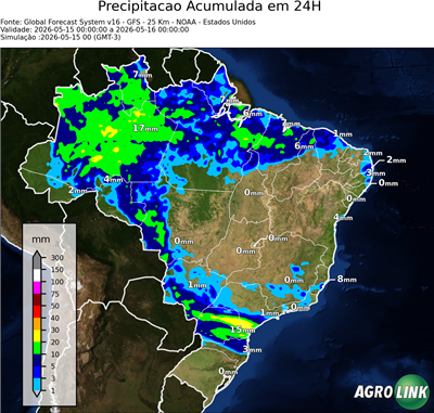 24 horas