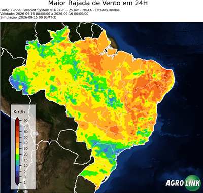 24 horas
