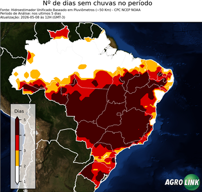 5 dias