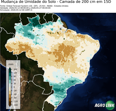 15 dias