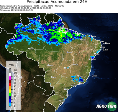 24 horas