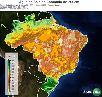 24 horas