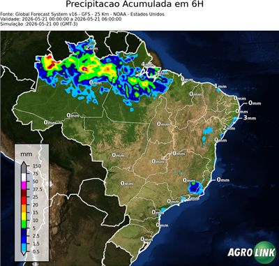 6 horas