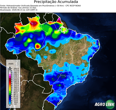 15 dias