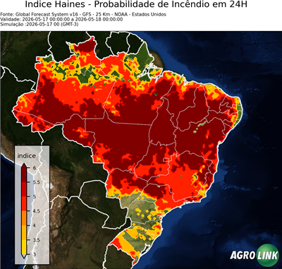 24 horas