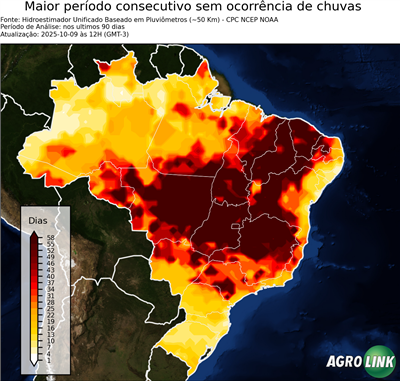90 dias