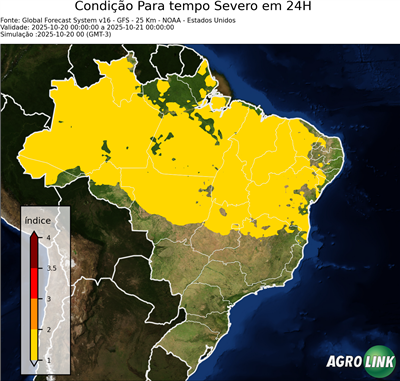 24 horas