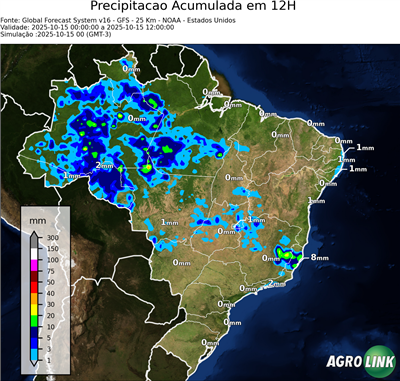 12 horas