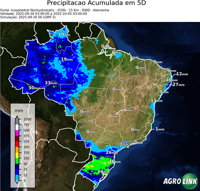 5 dias