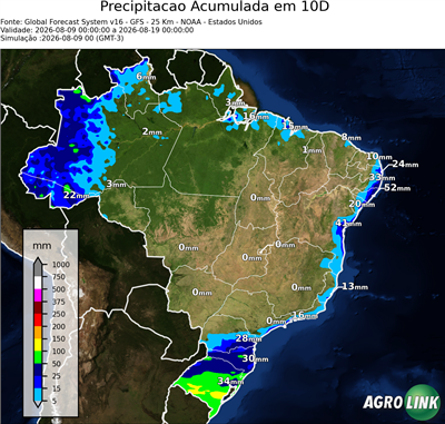 10 dias