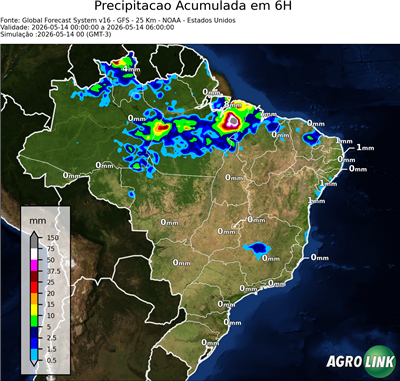 6 horas