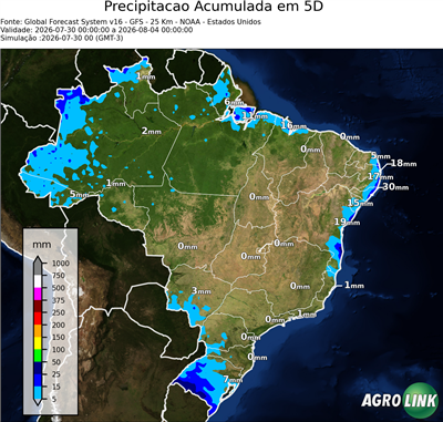 5 dias