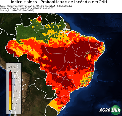 24 horas