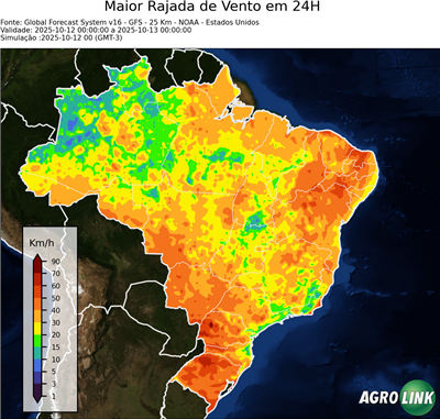 24 horas
