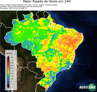 24 horas