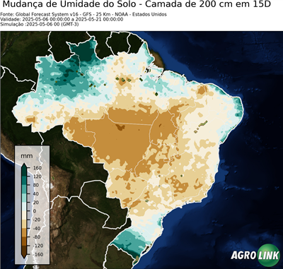 15 dias