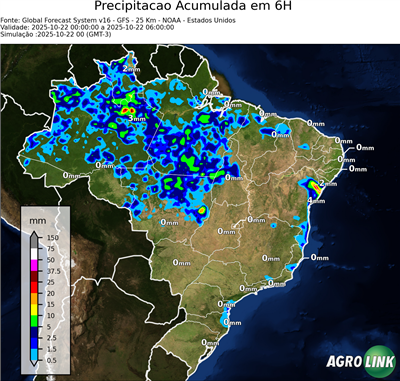 6 horas