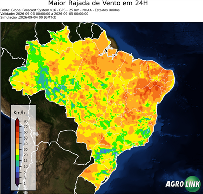 24 horas