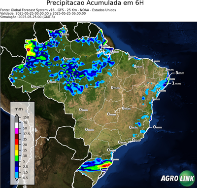 6 horas