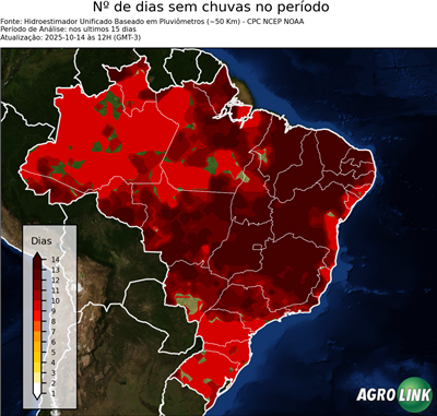 15 dias