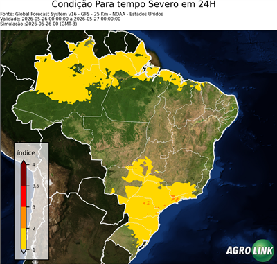 24 horas