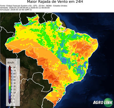 24 horas