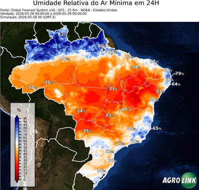 24 horas