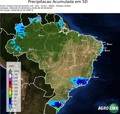 5 dias