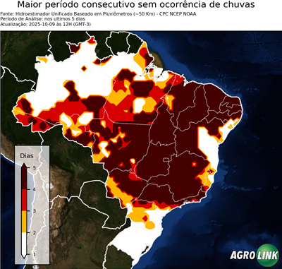 5 dias