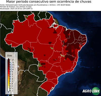 15 dias