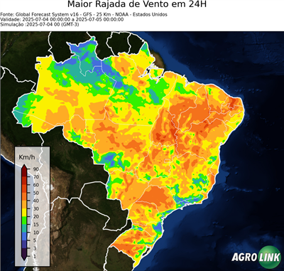 24 horas